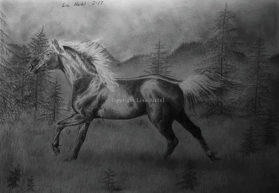 Rocky Mountain Horse by BeckyKidus