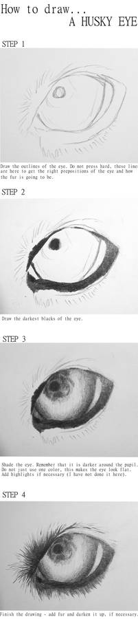 Husky eye tutorial