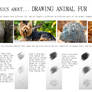 How to draw animal fur / basics about animal fur