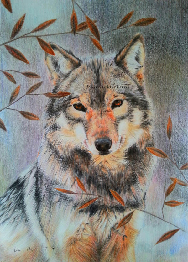 Wolf portrait V