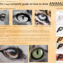 The (I hope) complete guide on ANIMAL EYES