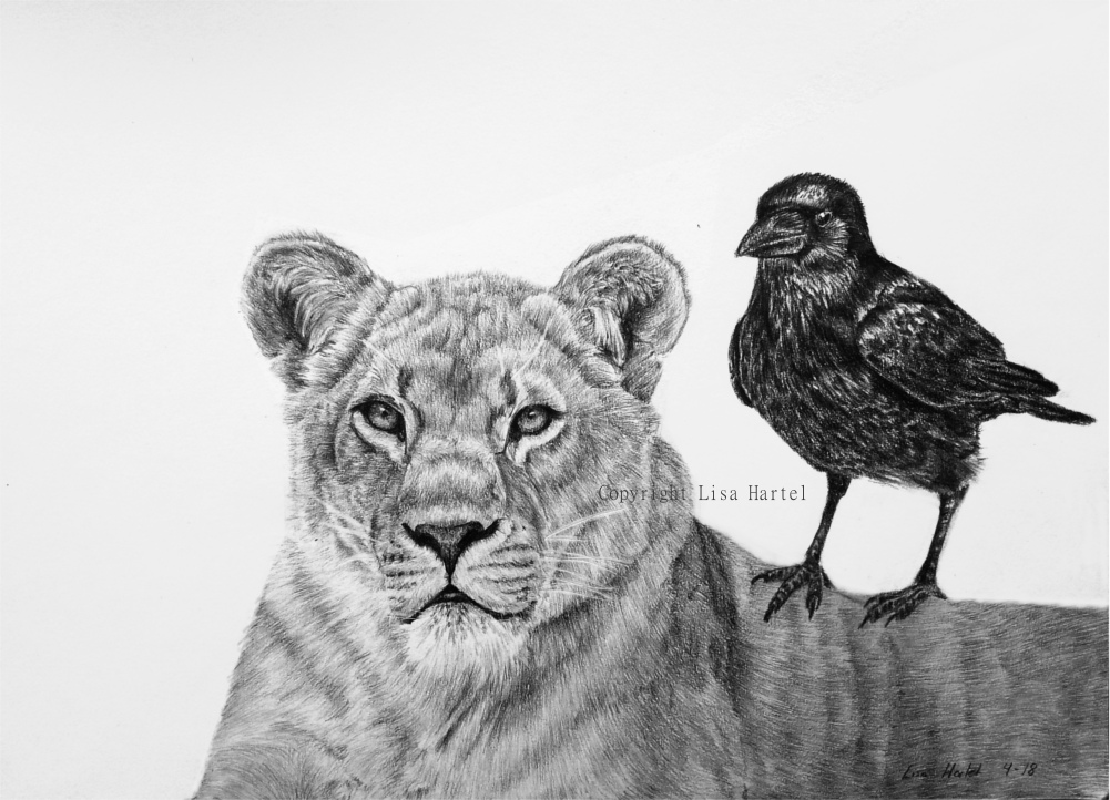 Mishu and Crow by BeckyKidus Mishu and Crow by BeckyKidus