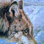 Grey Wolf - Look Before You Leap DETAIL
