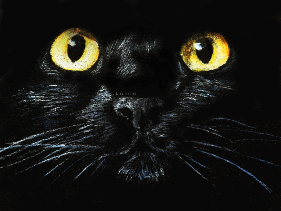 Black Cat - Dark Look by BeckyKidus on DeviantArt