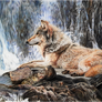 Wolf Waterfall