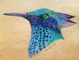 Hummingbird Griffin