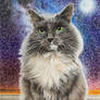Cat - Star Sky