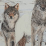 How I draw fur 4 - fur at a distance GIF