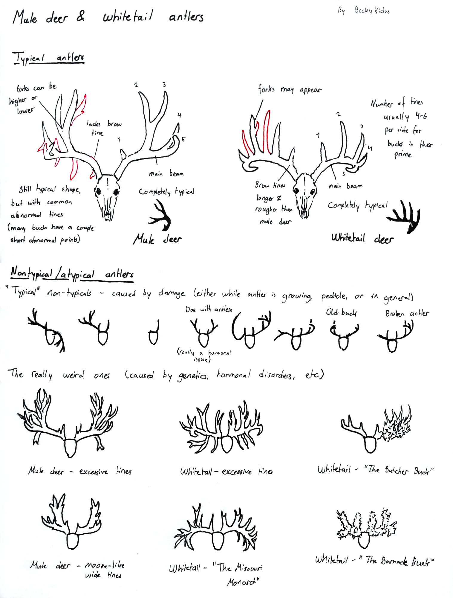 Speed Lines on How-To-Draw-list - DeviantArt