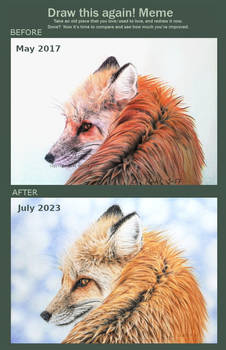 Draw it again - Fox faces