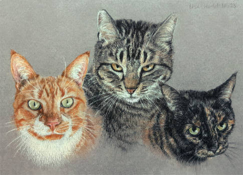 [Commission] Three cats