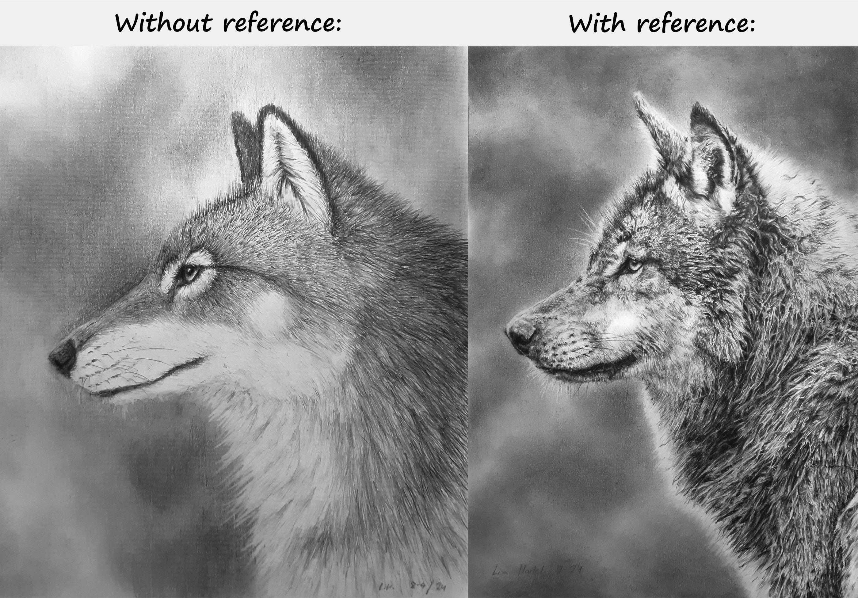 Difference Reference Image The difference reference photos can make by BeckyKidus on DeviantArt