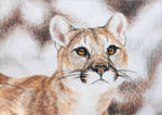 Vannmerket_CFC_ACEO_FR1_Mountain_Lion.jpg