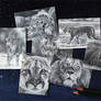 CardsForConservation FebROARy 2026 cards