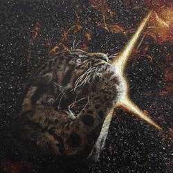 Supernova