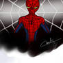 The Amazing  Spider-Man