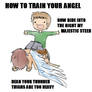 HOW TO TRAIN YOUR ANGEL