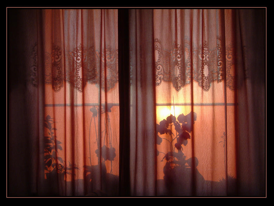 Shadowgraph Curtain Shadow Curtain by evaPM on DeviantArt
