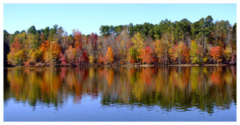 Fall Colors