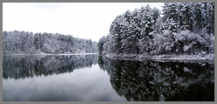 Christmas Snow