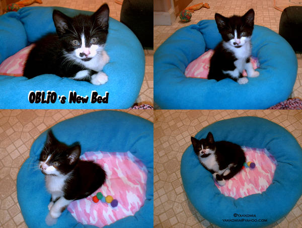 Pet Bed Tutorial by Yakkomia