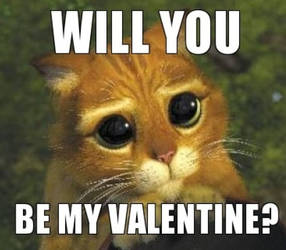 Will You?