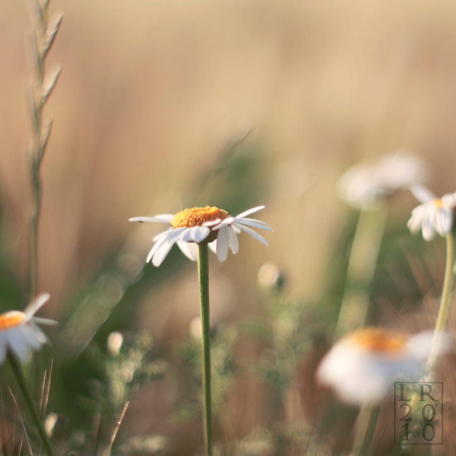 Summertime.
