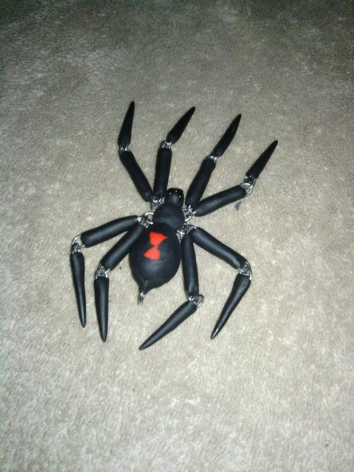 Black Widow Spider