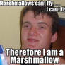 I Am A Marshmallow