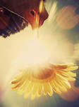 till the sun stops shining. by bigcitydreams