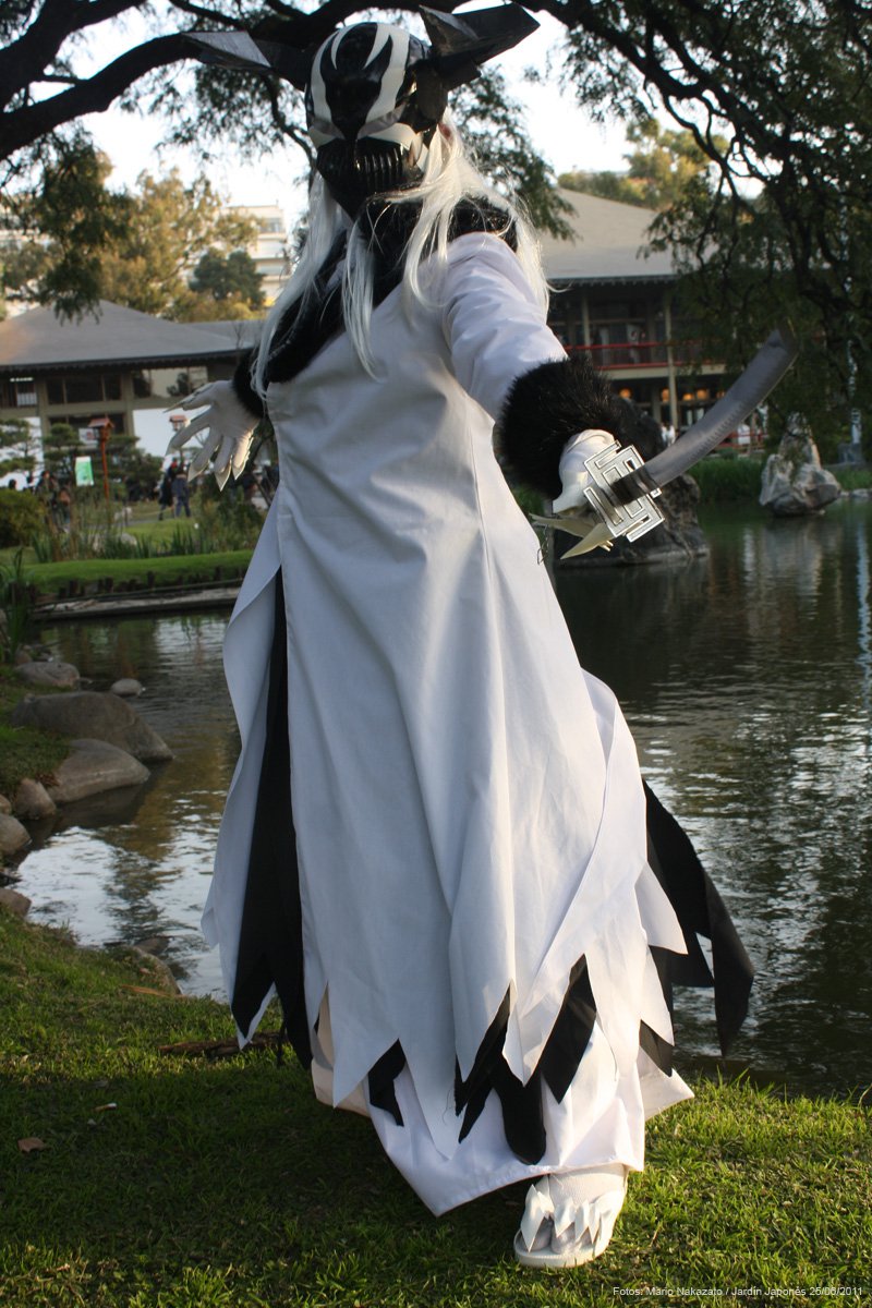 Full Hollow ichigo Vasto Lorde by Xsoul2007 on DeviantArt