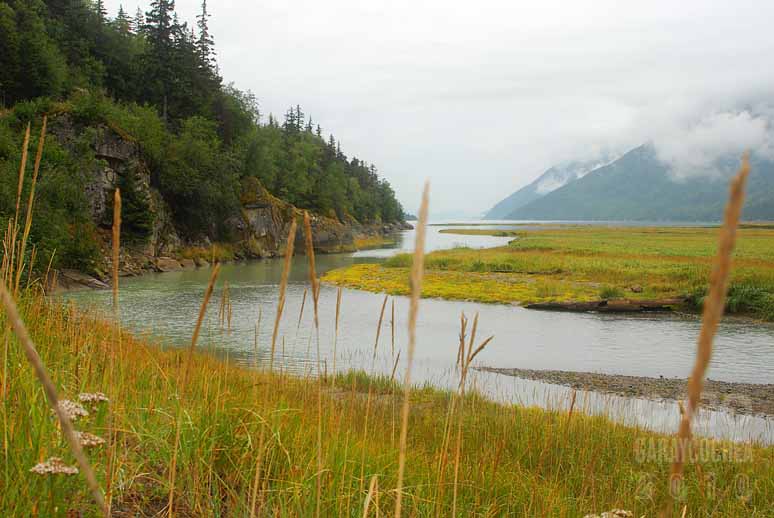 On the Way to Dyea, Alaska 02