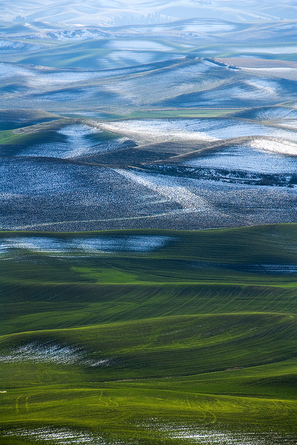 Palouse Hills 2