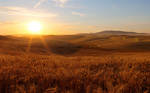 Palouse Sunset 17 by krovakny