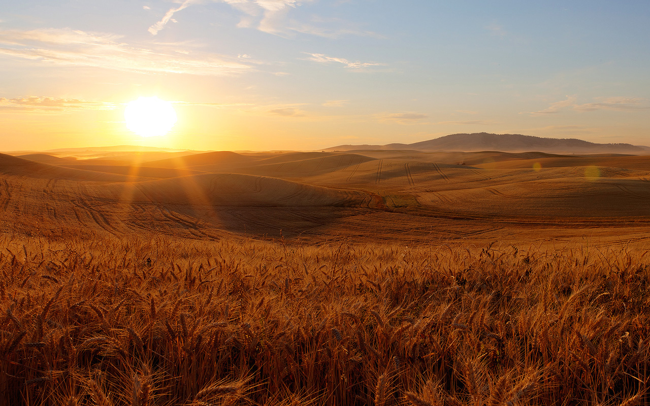 Palouse Sunset 17