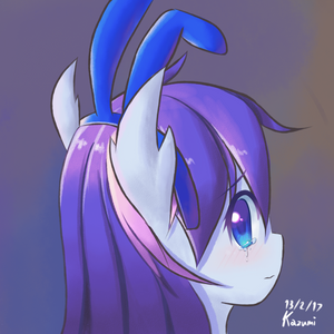 Hase pony oc