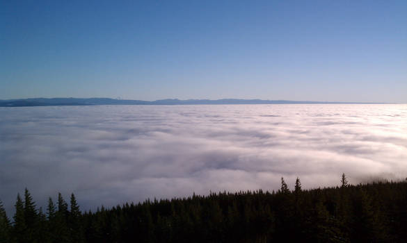 Sea of clouds