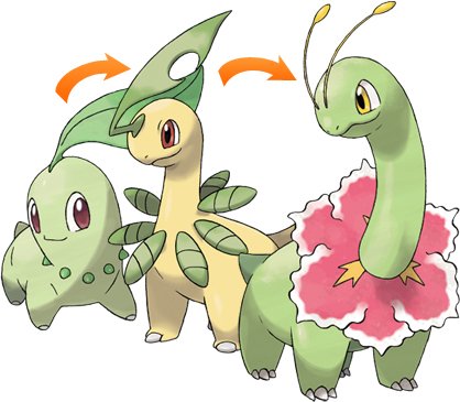 Chikorita Evolution Chart By Amyxlove On Deviantart Chikorita Evolution Chart By Amyxlove On Deviantart