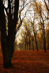 Autumn in Berlin by Evolve--R
