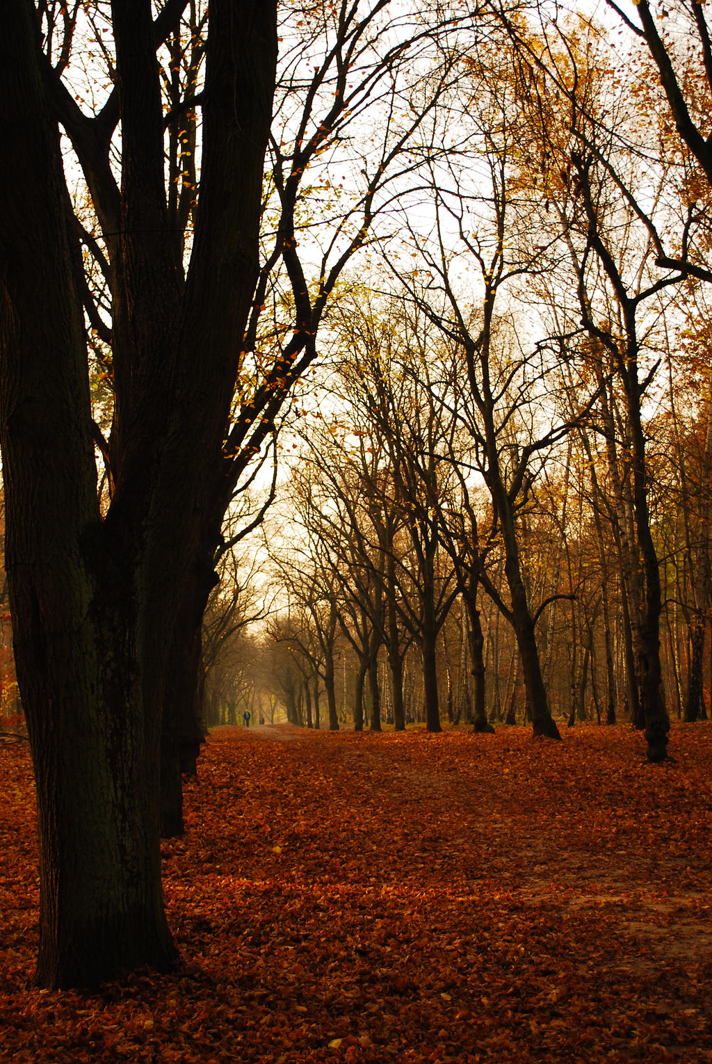 Autumn in Berlin