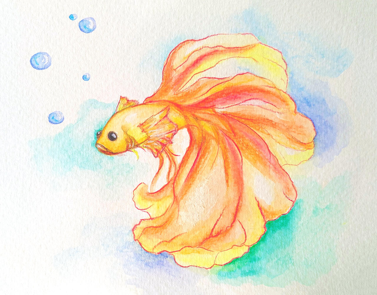 fishy by Anscho204 on DeviantArt