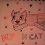 NYAN CAT !!!!