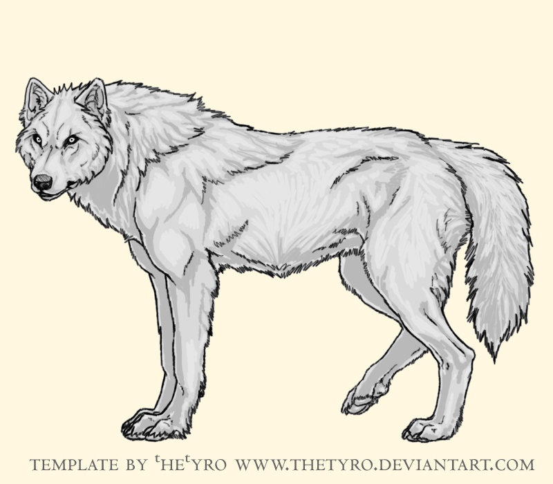 Wolf Template by TheTyro on DeviantArt