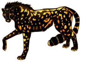 The Black Cheetah