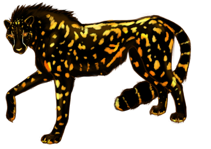 The Black Cheetah By Thetyro On Deviantart The Black Cheetah By Thetyro On Deviantart