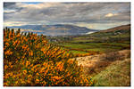 Ireland 58 by aniabeata