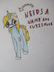 I Need Help With This Pony Character I Made :3