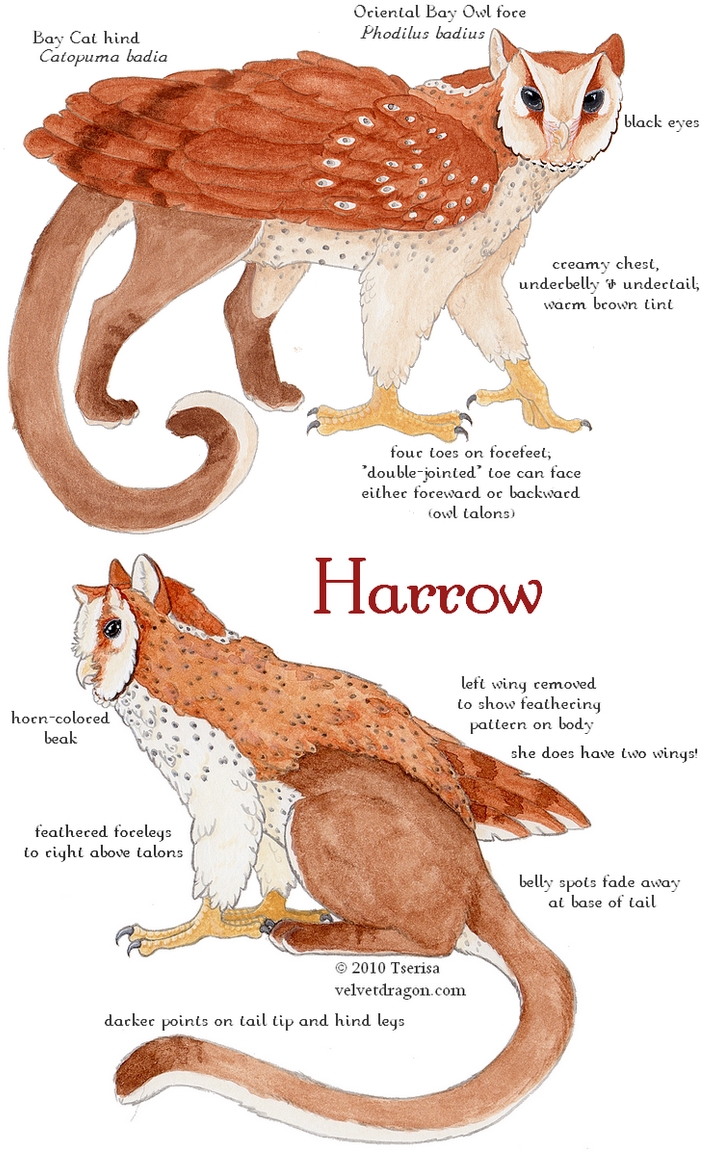 Harrow Gryphon Character Sheet