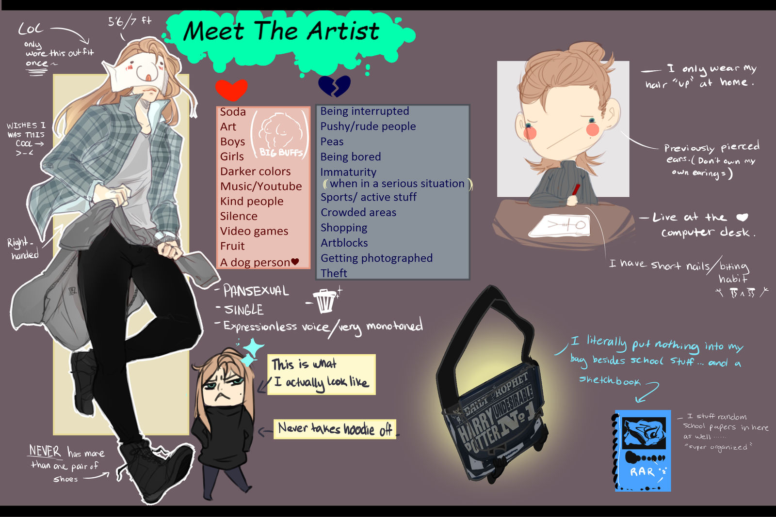 Meet The Artist[update]