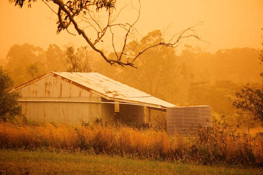 Raining Dust